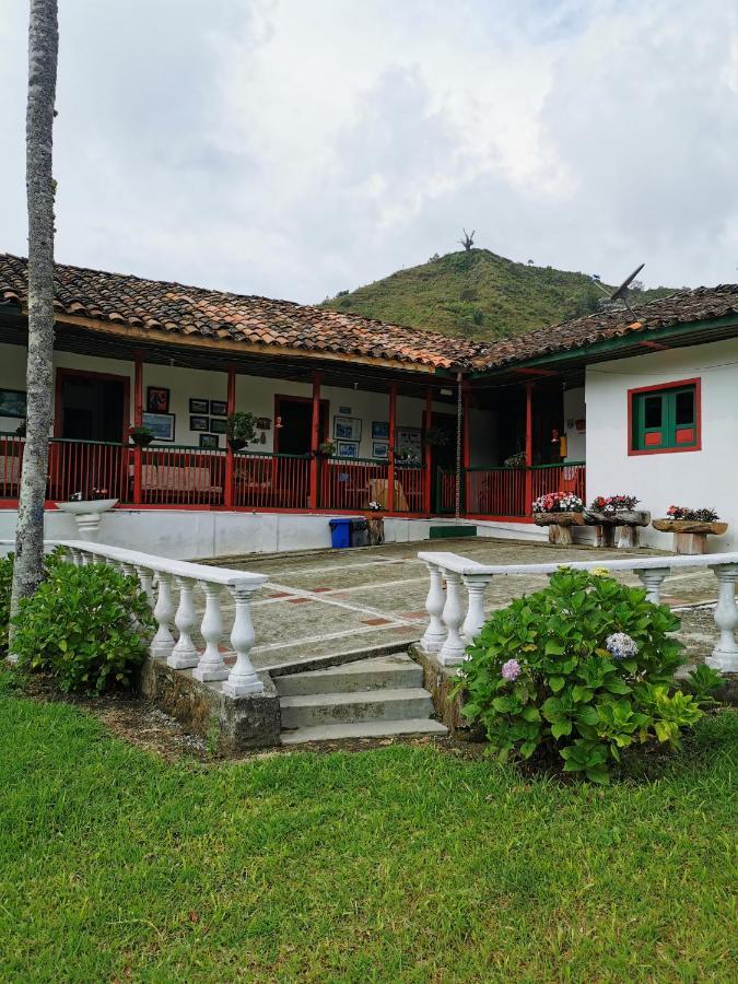 Finca La Playa Ecohotel - Experiencia Campestre - Salento Zewnętrze zdjęcie